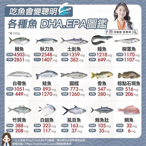 今年2023 魚有哪些
